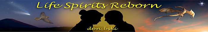 https://www.buczynski.com/hp_fic/LifeSpiritsRebornSm.jpg